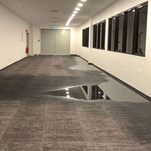 Professional Carpet Water Damage Restoration service underway at a property in Pembroke Pines, FL