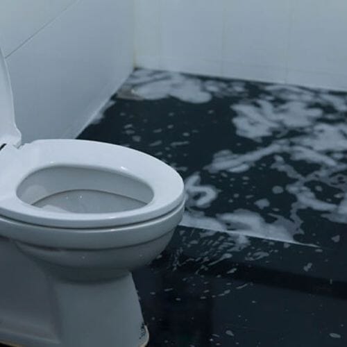 Professional Toilet Overflow Cleanup service underway at a property in Pembroke Pines, FL