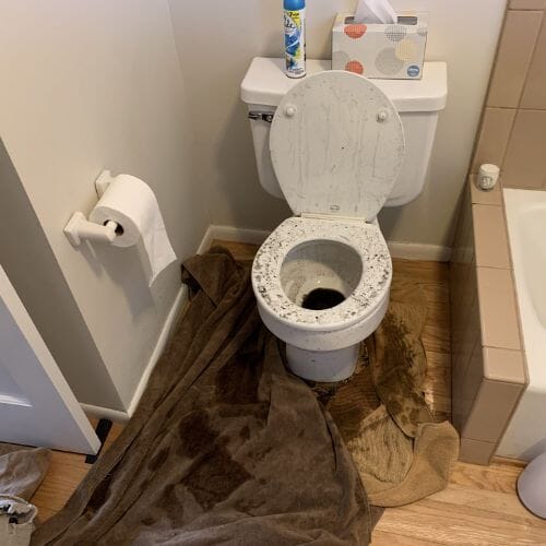 After results of Toilet Overflow Cleanup project completed for a property in Pembroke Pines, FL