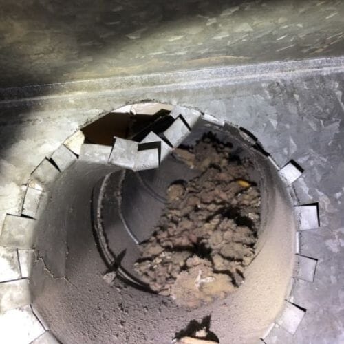 Professional air duct mold removal service underway at a property in Pembroke Pines, FL