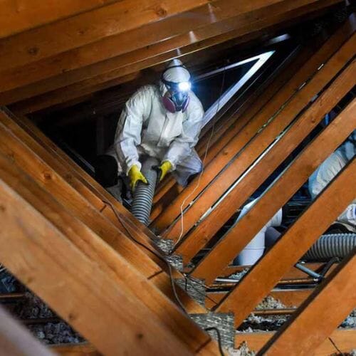 Professional Attic Cleanup & Sanitization service underway at a property in Pembroke Pines, FL