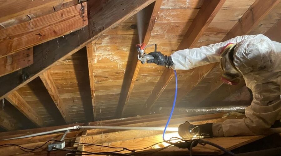 After results of mold remediation project completed for a property in Anacua