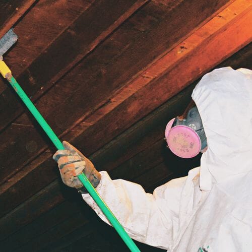 After results of Attic Mold Removal project completed for a property in Pembroke Pines, FL