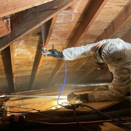 Professional Attic Mold Removal service underway at a property in Pembroke Pines, FL