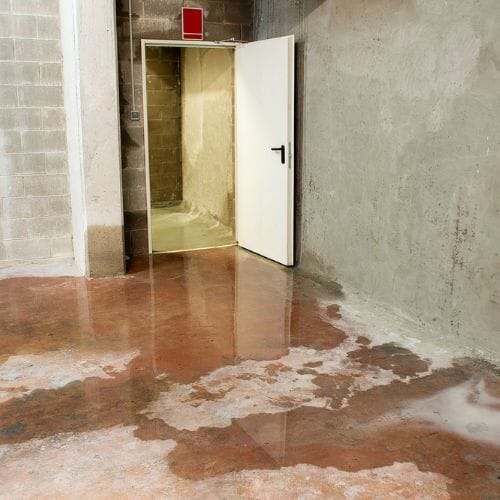 After results of basement damage restoration project completed for a property in Pembroke Pines, FL