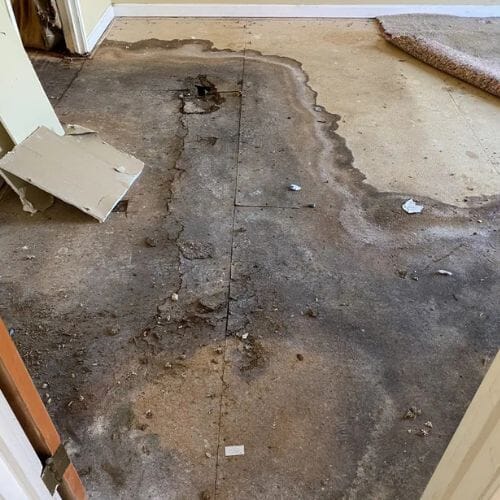 After results of Basement Mold Cleanup Pembroke Pines, FL project completed for a property in Pembroke Pines, FL