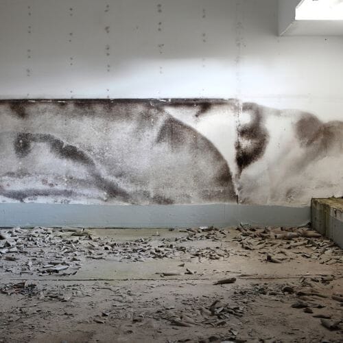 Professional Basement Mold Cleanup Pembroke Pines, FL service underway at a property in Pembroke Pines, FL