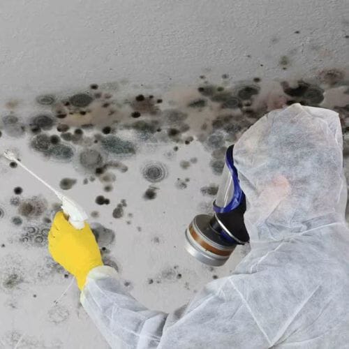 After results of black mold remediation and removal project completed for a property in Pembroke Pines, FL