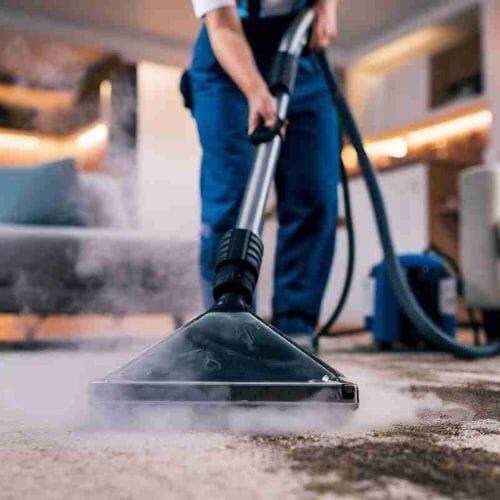 Professional carpet steam cleaning service underway at a property in Pembroke Pines, FL