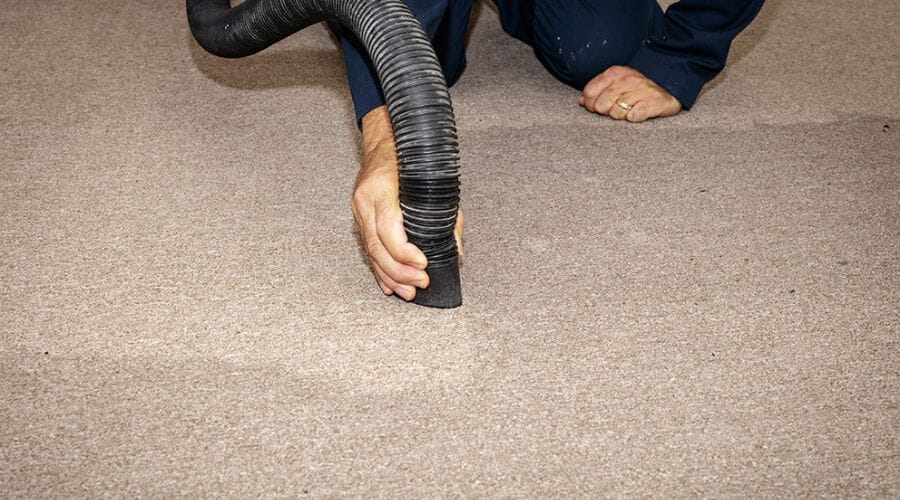 Professional carpet water damage cleanup service underway at a property in Barrera