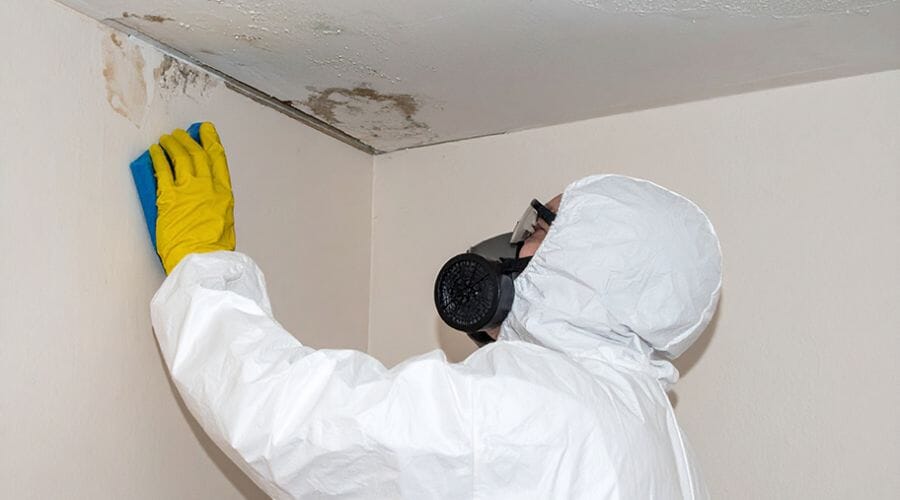 After results of ceiling mold removal project completed for a property in Airport Heights, TX