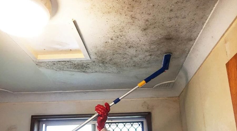 Professional ceiling mold removal service underway at a property in Airport Heights, TX