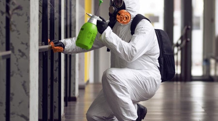 Professional commercial mold remediation service underway at a property in Arroyo Colorado Estates, TX