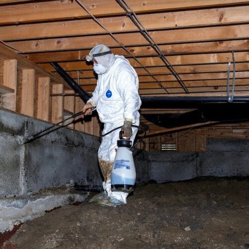 Professional crawlspace cleaning and sanitation service underway at a property in Pembroke Pines, FL