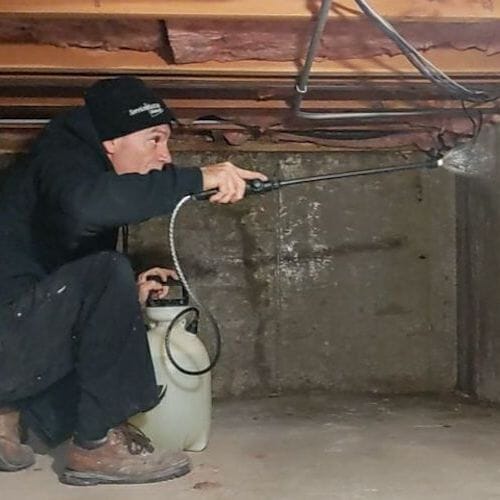 Completed crawlspace mold remediation project in Houston
