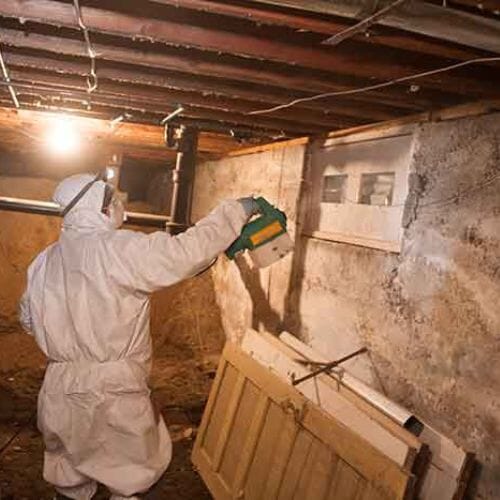 Professional crawlspace mold remediation service underway at a property in Houston