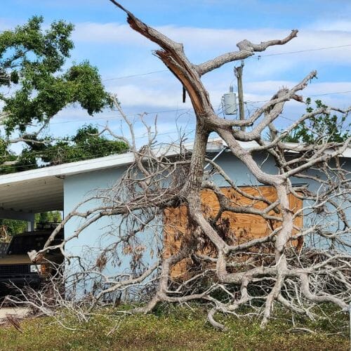 After results of Debris Removal After Storms project completed for a property in Pembroke Pines, FL