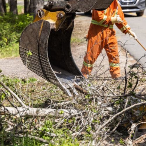 Professional Debris Removal After Storms service underway at a property in Pembroke Pines, FL