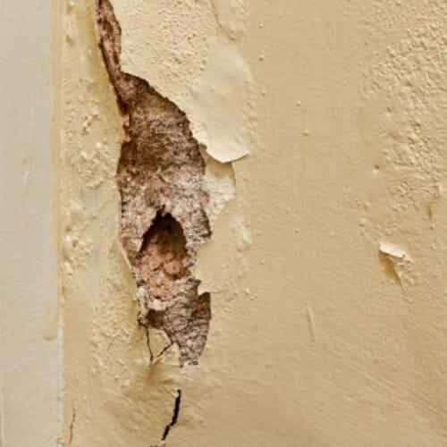 Professional Drywall Water Damage Repair Pembroke Pines, FL service underway at a property in Pembroke Pines, FL