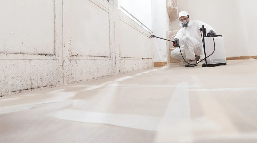Professional floor mold removal service underway at a property in Beverly Hills