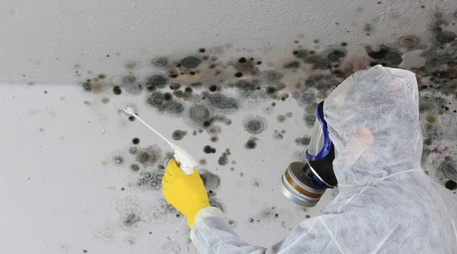 Professional hidden mold detection service underway at a property in Austin