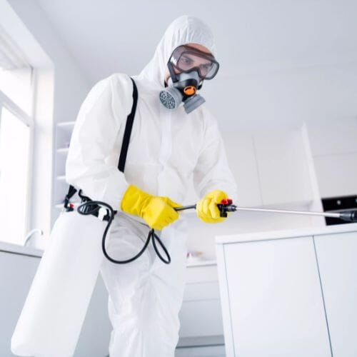 Professional homicide cleanup service underway at a property in Pembroke Pines, FL