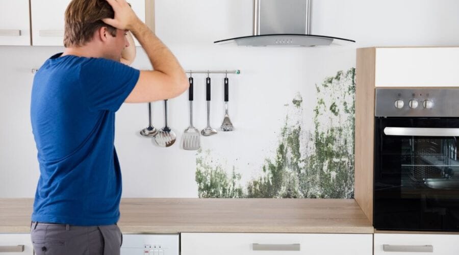 Professional kitchen mold cleanup service underway at a property in Acala, TX