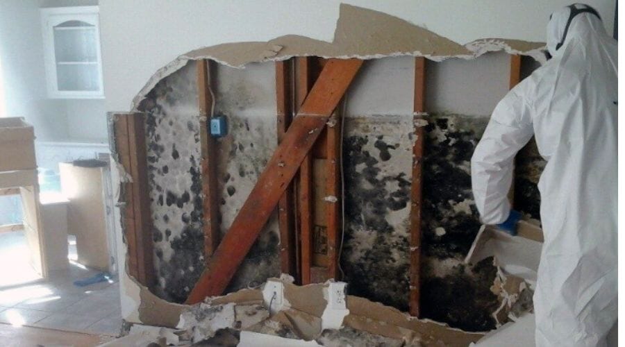 Professional mold damage repair service underway at a property in Acala