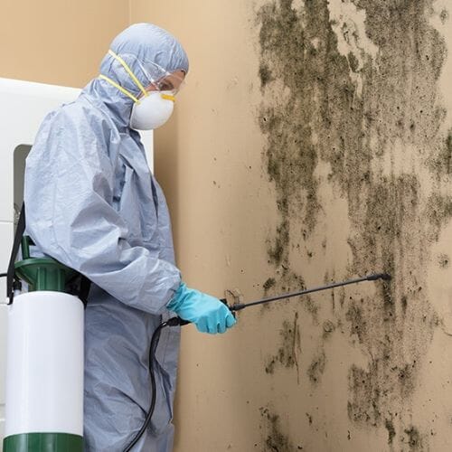 After results of mold decontamination project completed for a property in Pembroke Pines, FL