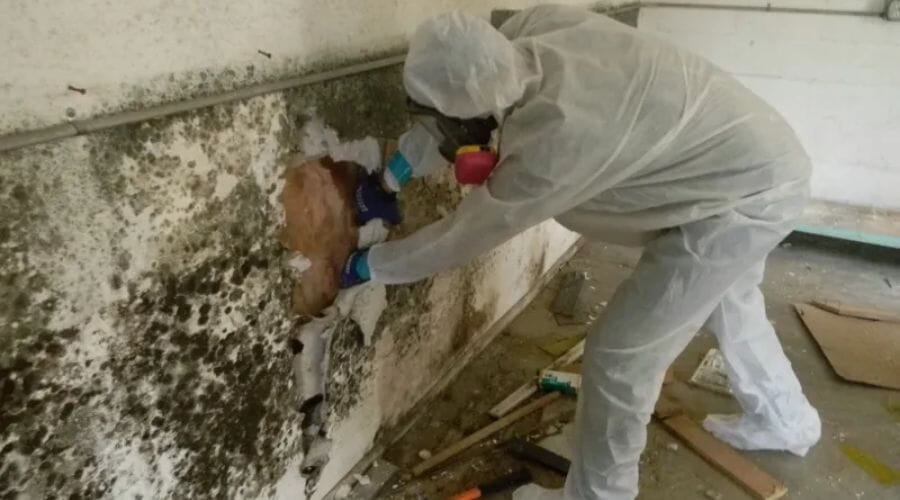 After results of mold decontamination project completed for a property in Beach City