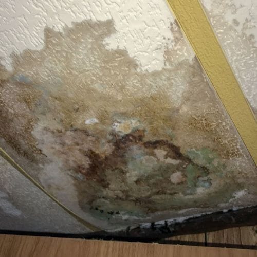 After results of mold cleanup project completed for a property in Houston