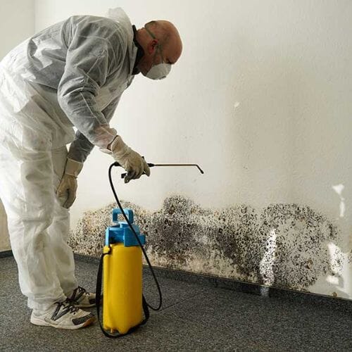 Professional Mold Inspection & Testing service underway at a property in Pembroke Pines, FL