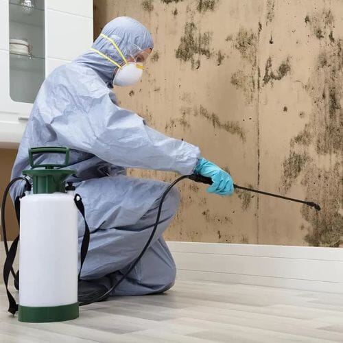 Results of mold remediation completed at a Houston property