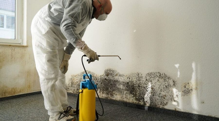 Professional mold removal service underway at a property in Bacliff