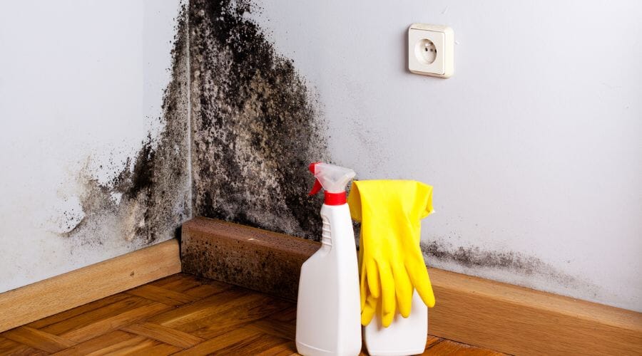 After results of mold spore removal project completed for a property in Ackerly, TX