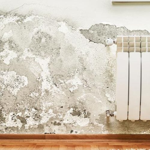 Professional mold structural damage restoration service underway at a property in Pembroke Pines, FL