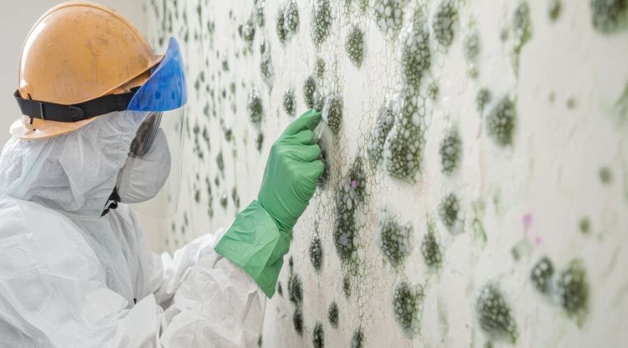 Professional mold testing service underway at a property in Ackerly, TX