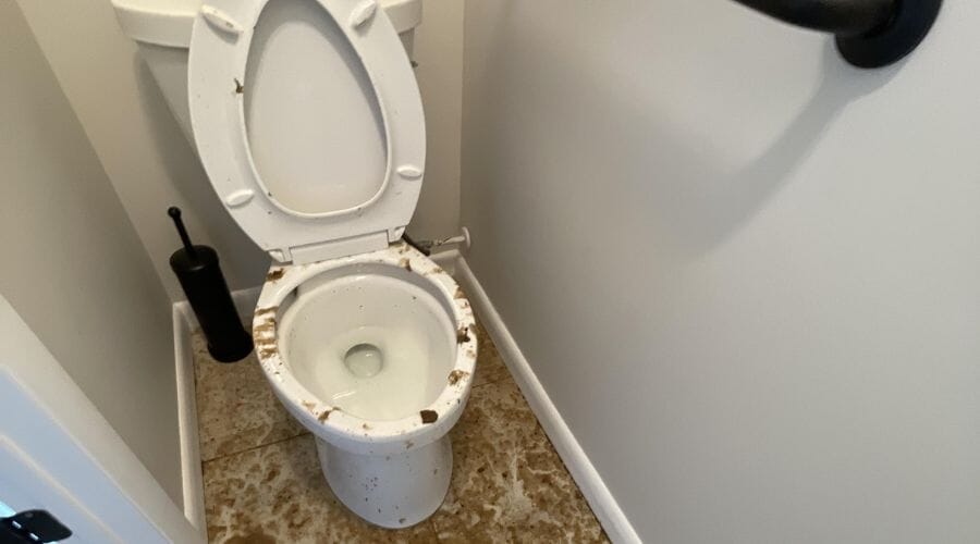 Professional sanitary cleanup service underway at a property in Bellmead