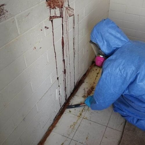 After results of suicide cleanup project completed for a property in Pembroke Pines, FL