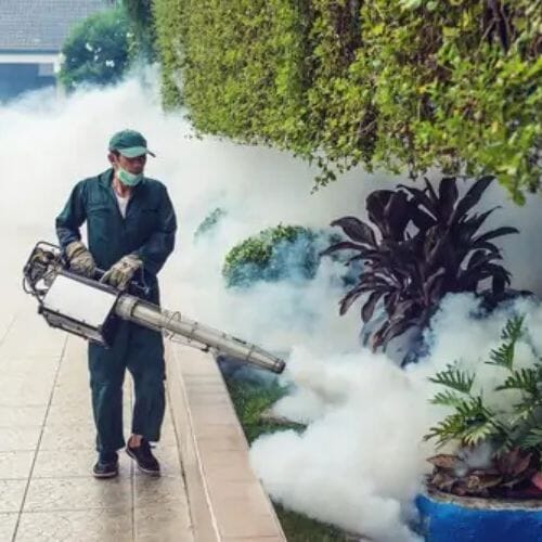 Results of thermal fogging project completed for a property in Houston