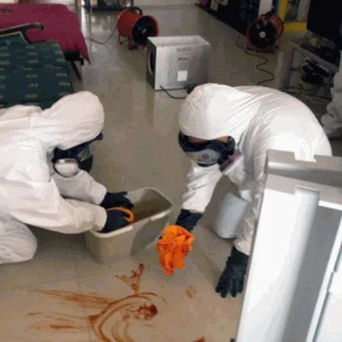 After results of unattended death cleanup project completed for a property in Pembroke Pines, FL