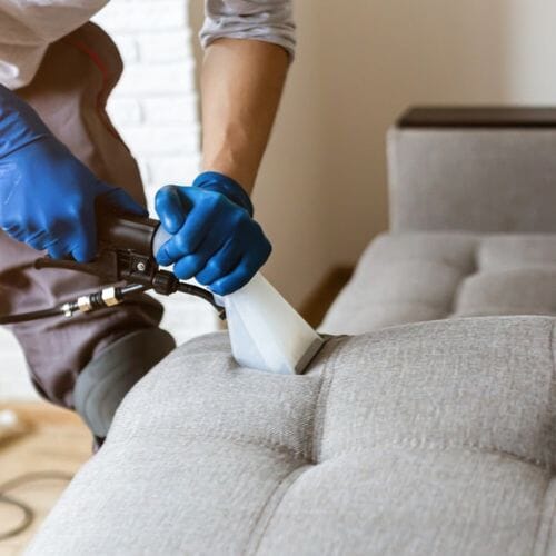 After results of Upholstery Cleaning Pembroke Pines, FL project completed for a property in Pembroke Pines, FL