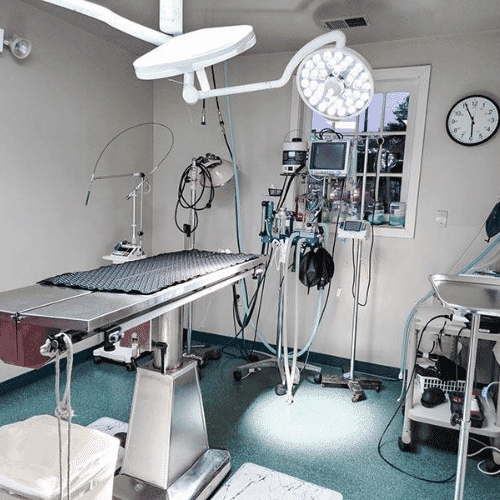 After results of Veterinary Clinic Damage Restoration project completed for a property in Pembroke Pines, FL