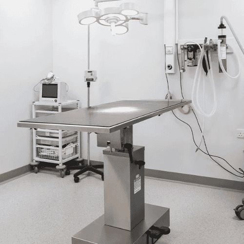 Professional Veterinary Clinic Damage Restoration service underway at a property in Pembroke Pines, FL