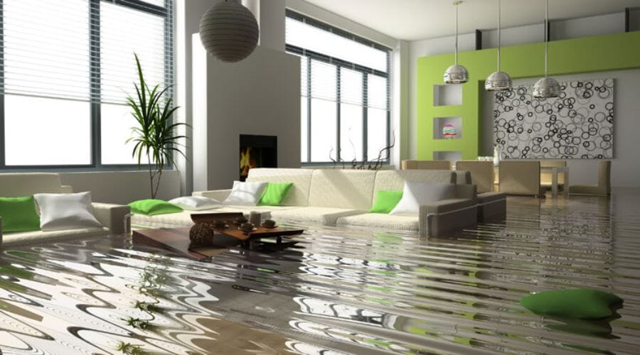 Professional water damage repair service underway at a property in Bishop Hills, TX